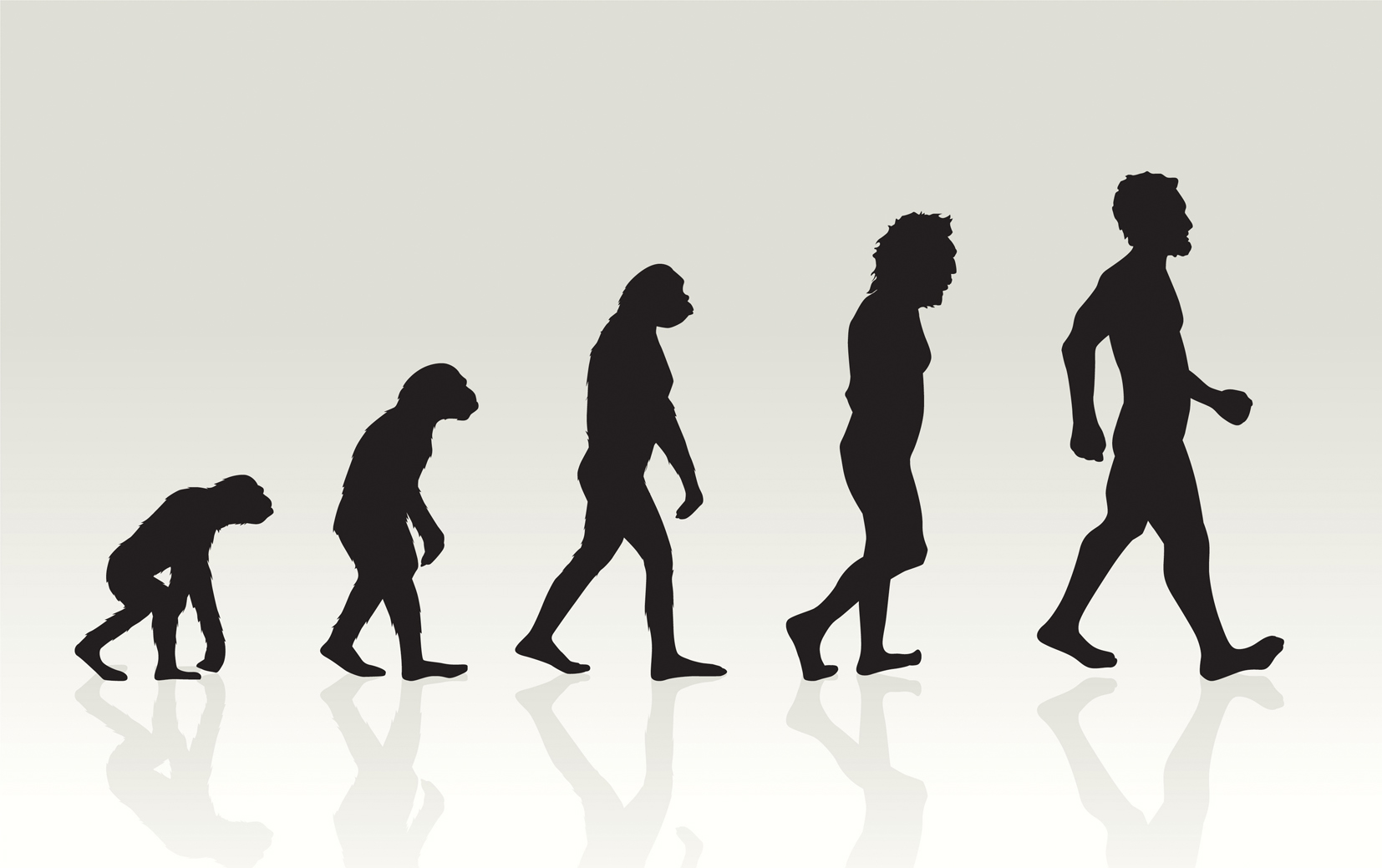 There’s a lot of talk right now about evolution, our own evolution. 
